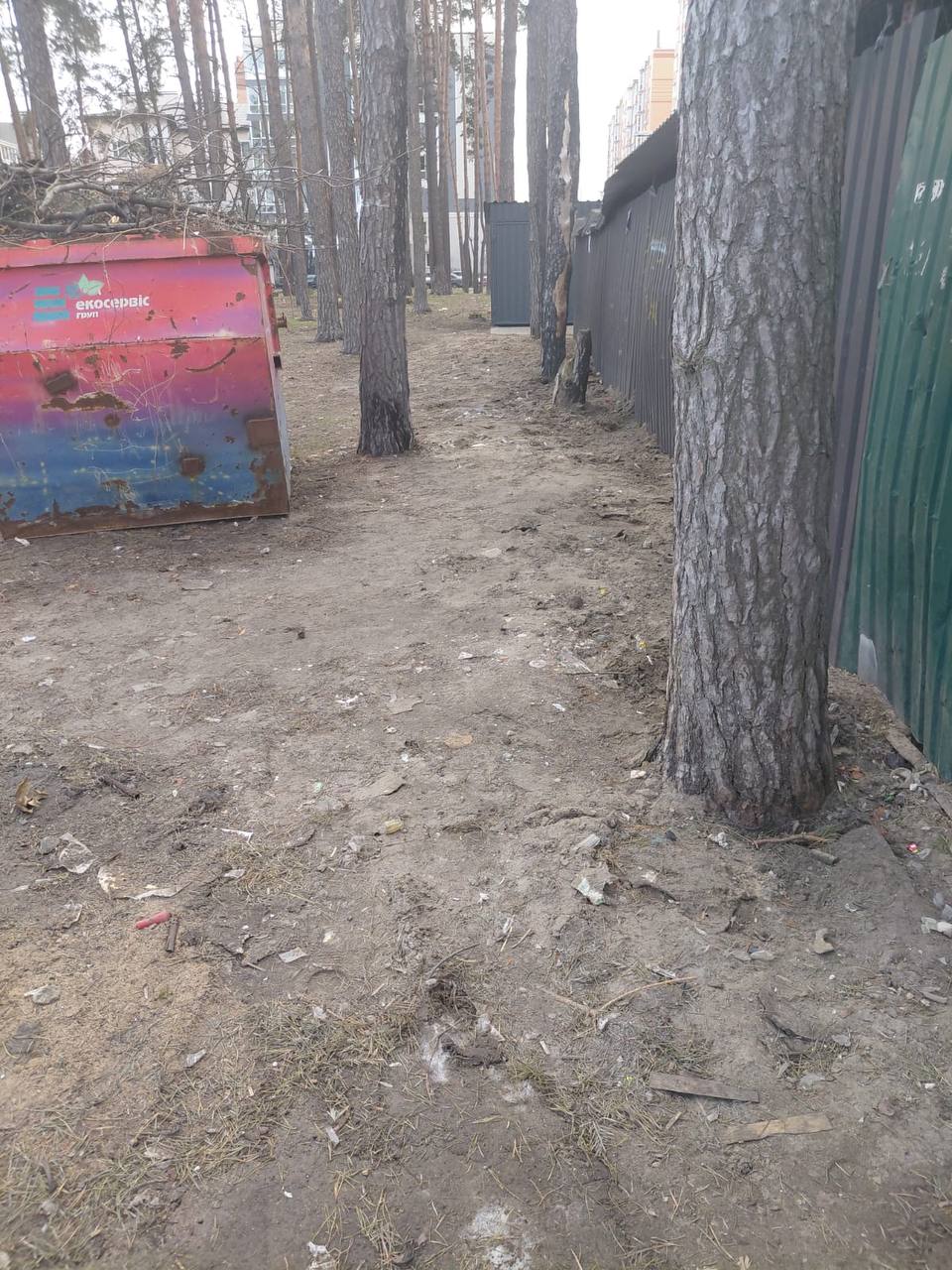 У місті Ірпінь на вулиці Лісовій ліквідували стихійне сміттєзвалище.